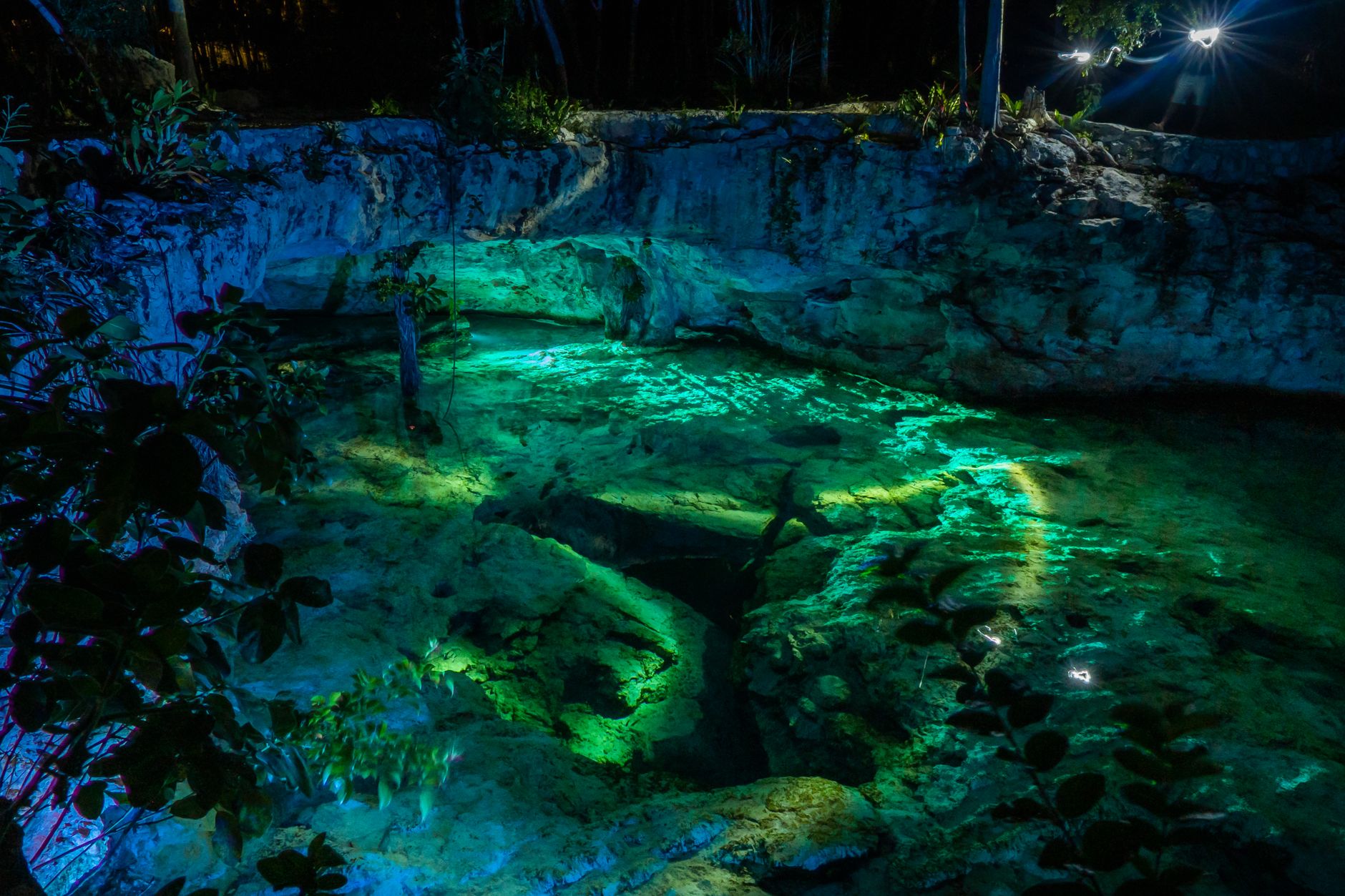 Cenote de aguas cristalinas rodeado de vegetación